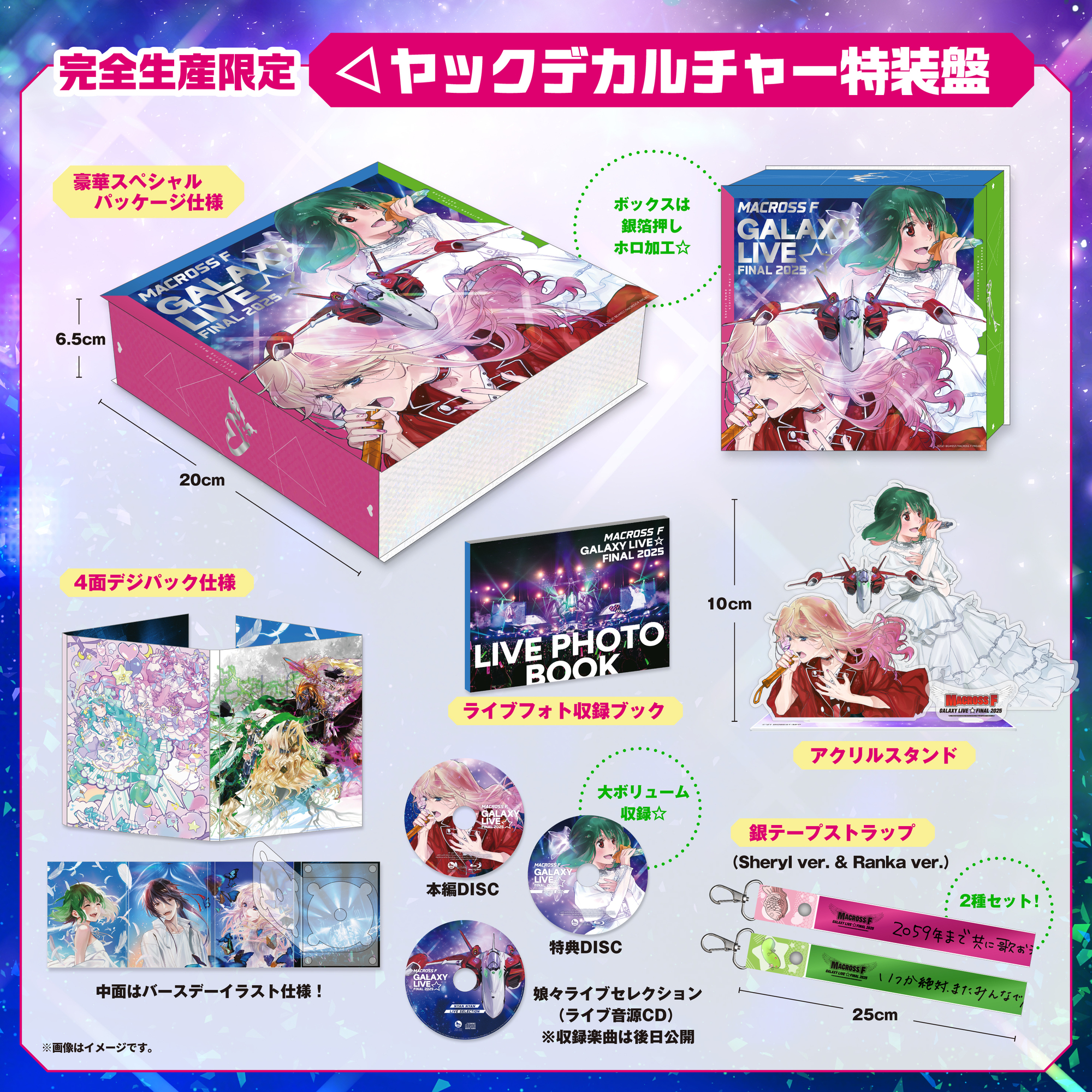 非売品 マクロスF GALAXY LIVE 2025 FINAL グッズセット マクロスF】ライブブルーレイ「マクロスF ギャラクシーライブ
